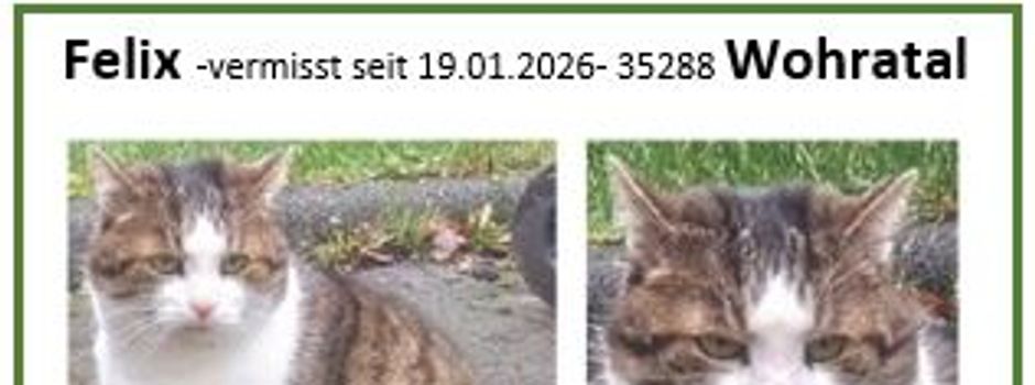 Gesucht: Kater vermisst in Langendorf!