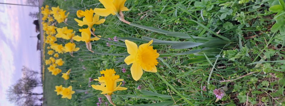 Frohe Ostern