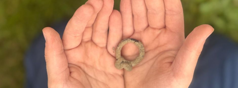 Fünfjähriger Junge findet bei Kindergarten-Ausflug jahrtausendealten Schatz