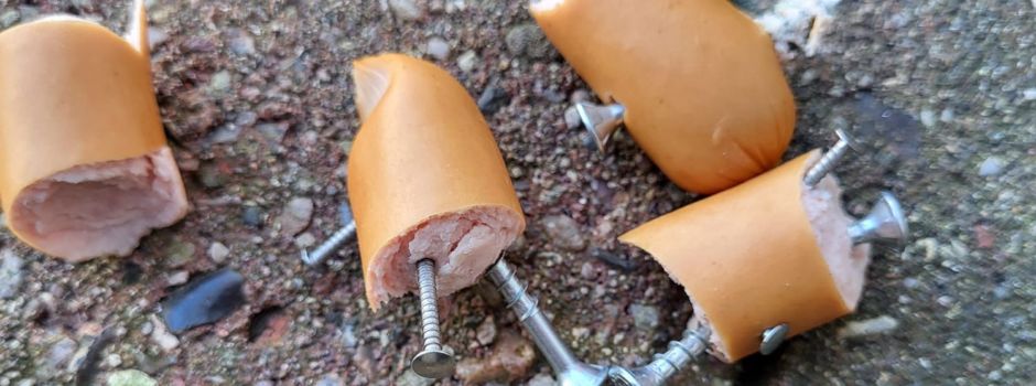 Gefährliche Hundeköder gefunden