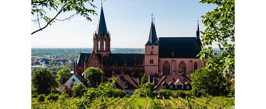 Vortrag beleuchtet das Leben Richard von Cornwalls in Oppenheim