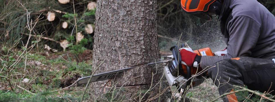 Waldems warnt vor Waldbrandgefahr: Motorgeräteverbot im Wald