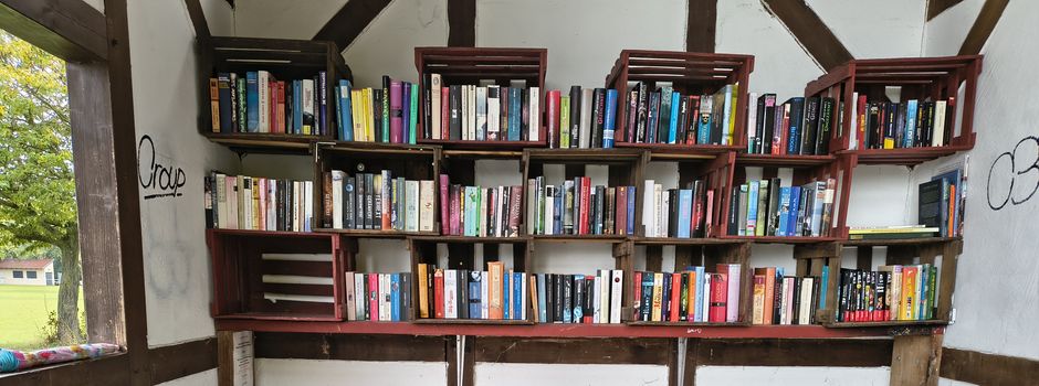 Bücherhaltestelle - was gehört rein, was nicht