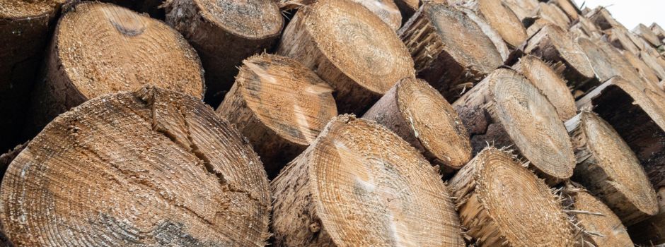 Brennholzbedarf für 2026 anmelden!