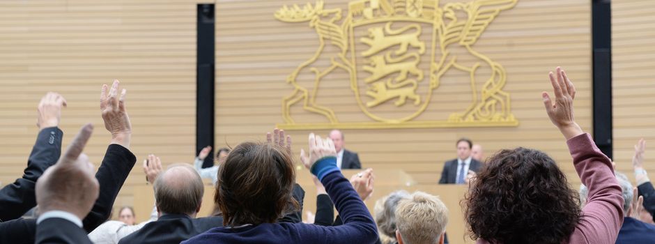 Landtag verkleinern? Sie können abstimmen!