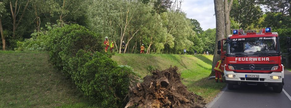 Einsatz der freiwilligen Feuerwehr Koserow