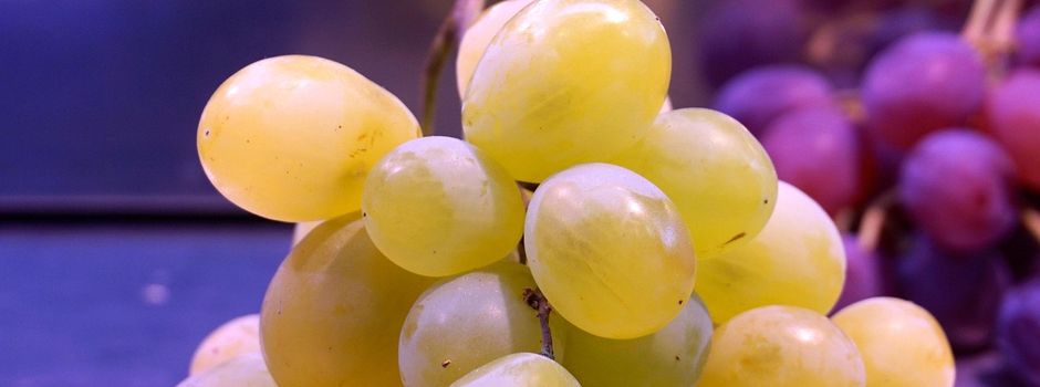 SaarRieslingSommer & „Beyond Riesling: Pinot Noir aus Deutschland“
