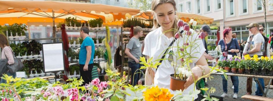 Aktionswochenende mit verkaufsoffenem Sonntag in Worms
