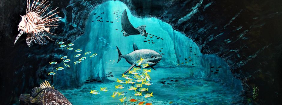 Vernissage - Ausstellung