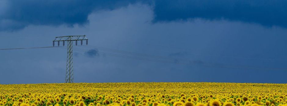 Ungemütliche Wetteraussichten mit Gewitter und Regen