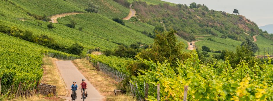 Umsetzung kommt ins Rollen - Der Radtouristische Entwicklungsplan Rheinhessen