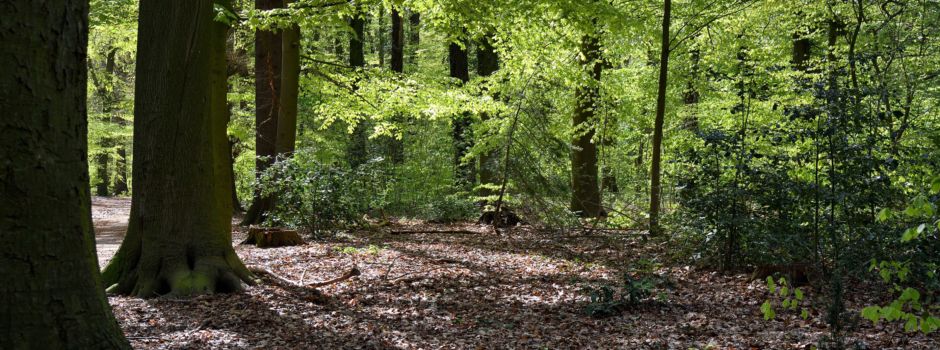 Frühlingsbilder aus der Allesamt-Gemeinde