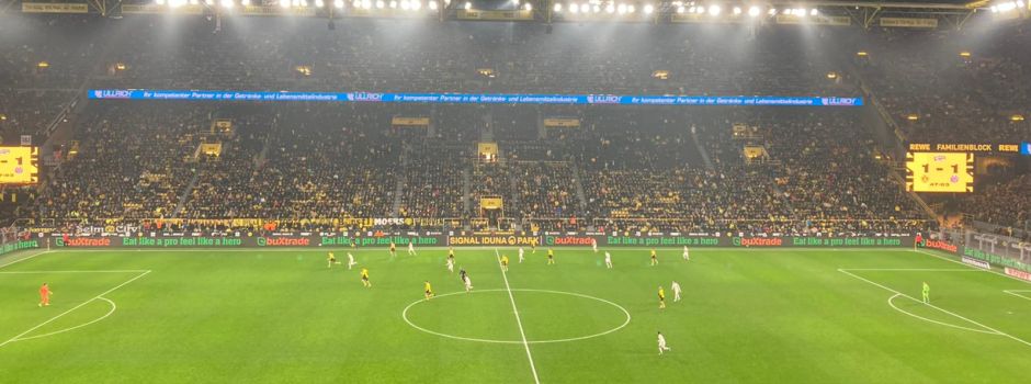 Starke Mainzer holen Punkt in Dortmund