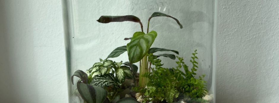 Flaschengarten Workshop