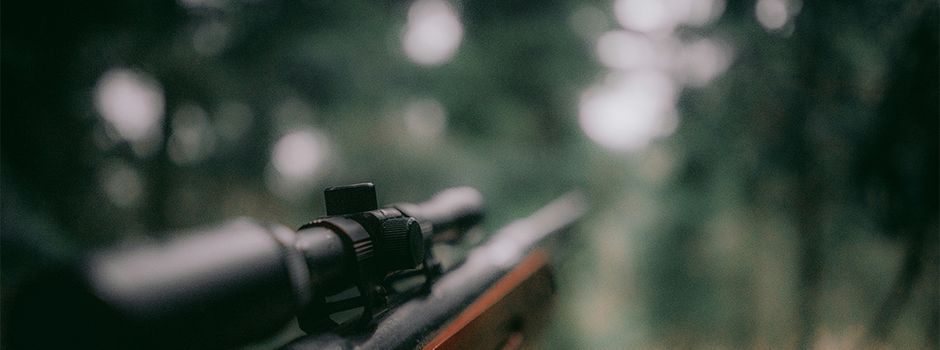 Makabere Funde im Kreis: Tierkadaver illegal in der Landschaft entsorgt