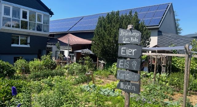 Reifenbergs Eierkiste