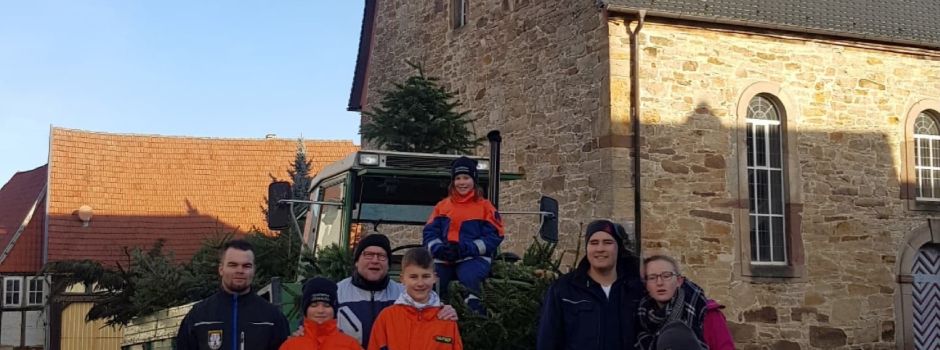 Einsammeln der Weihnachtsbäume