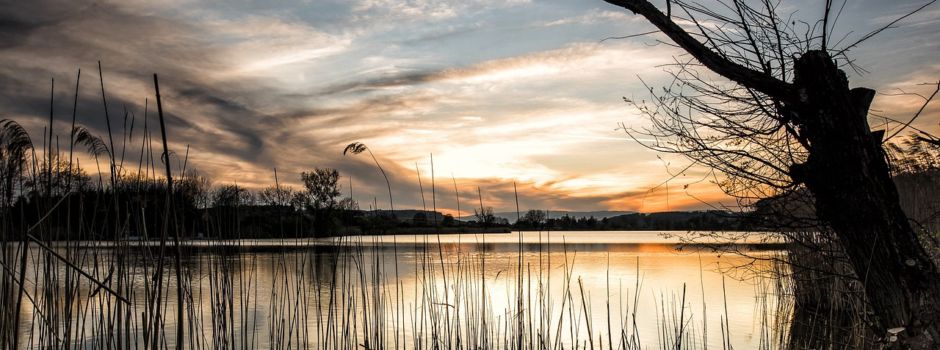 Angler laden zur „17. Nacht am See” und zum 42. Fischerfest