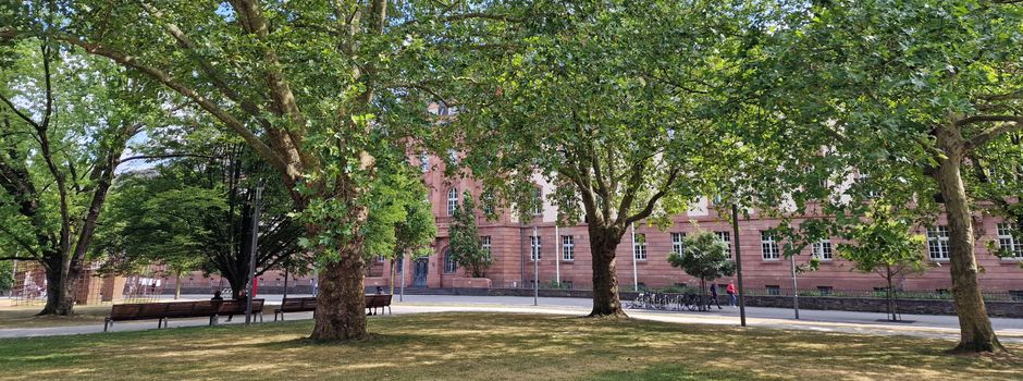 Rettet die Bäume: Koblenzer Initiative sammelt mehr als 7.000 Unterschriften