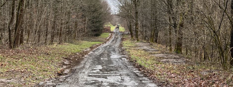 Baustellenupdate Nr. 1 im neuen Jahr 2025