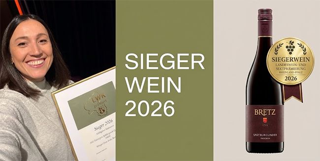 Weingut Bretz triumphiert: Bechtolsheimer Spätburgunder ist Siegerwein 2026