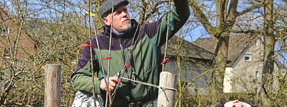 Seminar in Sachen Obstbaumschnitt in Breidings Garten