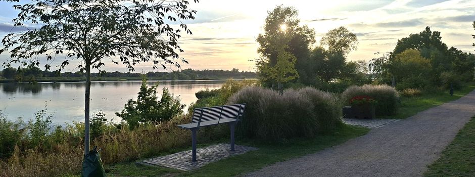 Zwei neue Baumelbänke an der Elbe