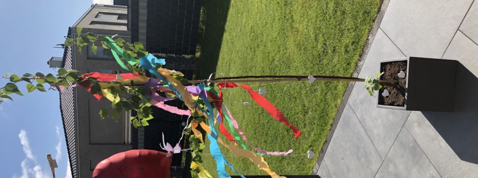 Ihr habt den tollsten Maibaum Niederkassels gewählt