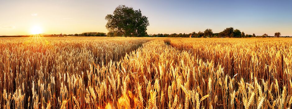 Winterprogramm des Landvolks startet