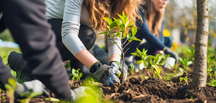 Pflanzwoche im Stadtwald: Gemeinsam für die Zukunft
