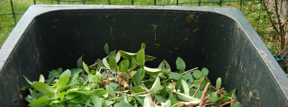 Biotonne falsch befüllt? Worms geht gegen Müll-Sünder vor