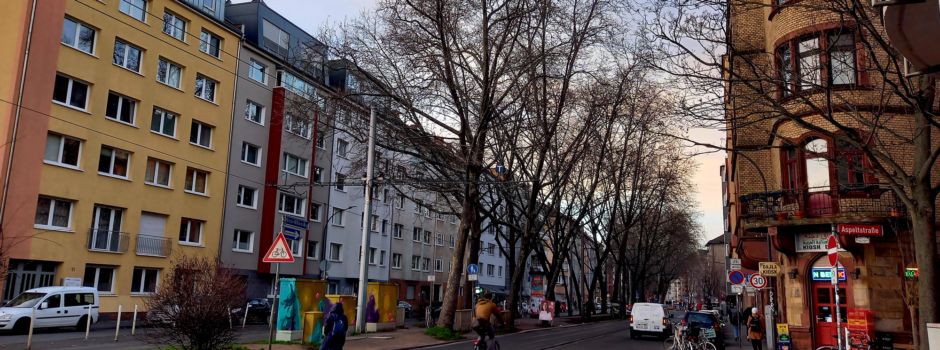 E-Scooter-Fahrer bricht sich bei Unfall mehrere Zähne ab