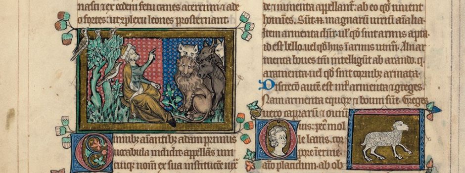 "Das Bestiarium aus Peterborough – ein tierisches Vergnügen"