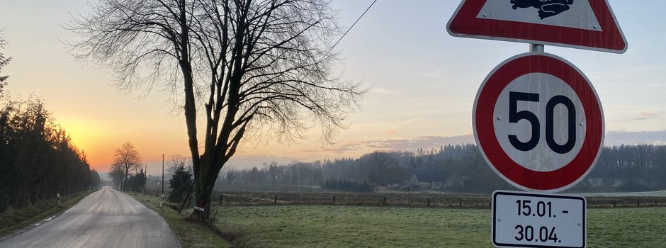 Straße Am Hagenberg wegen Amphibienwanderung gesperrt 