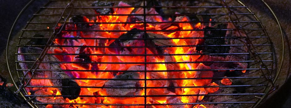 Wegen seltener Krebse: Grillplatz bei Wiesbaden wird abgebaut