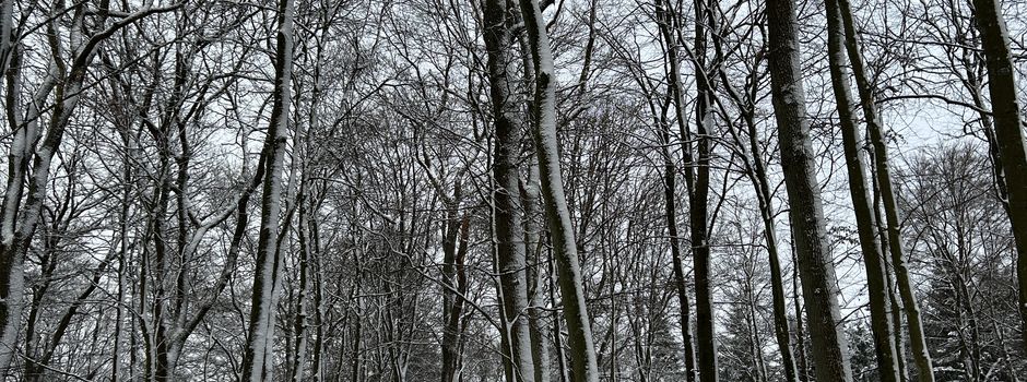Revierbegehung 2026 nach LJG