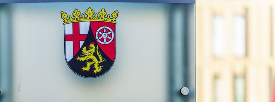 AfD-Fraktion scheitert in Koblenz mit Eilantrag