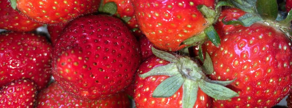 Puls!-Listing: Hier gibt es frische Erdbeeren in Niederkassel