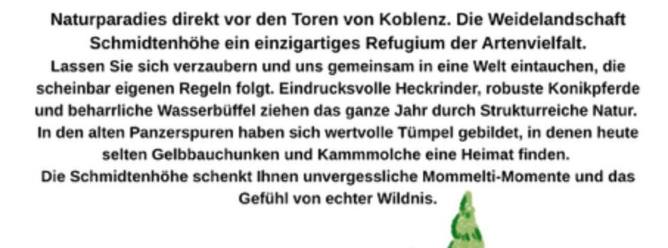 Weidelandschaft Schmidtenhöhe