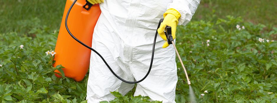 Lebensmittelrückrufe wegen Ethylenoxid-Belastung