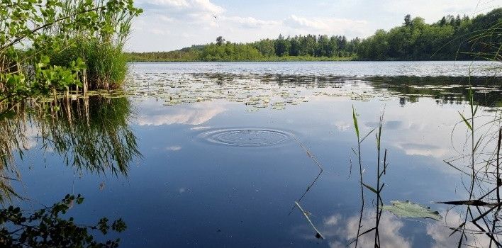 Geheimnisse der Blitzenreuter Seenplatte 

