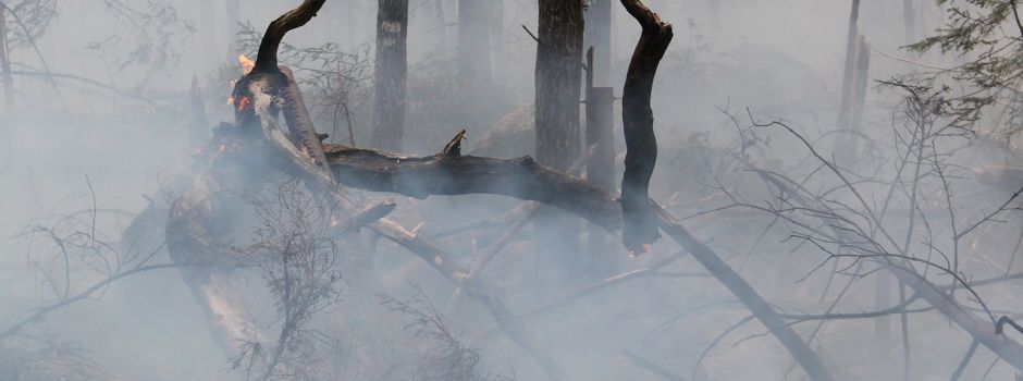 Hohe Waldbrandgefahr in Koblenz und der Region am Wochenende