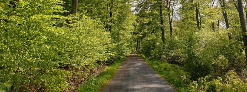 Verkehrssicherung an der Langen Schneise