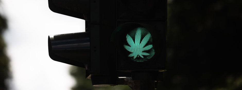 Grünes Licht für Cannabis - mit welchen Regeln?
