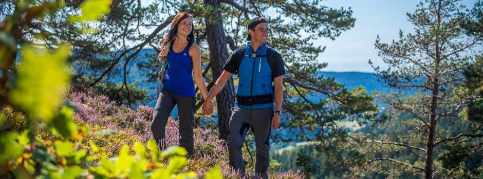 Wandern in Dachsberg