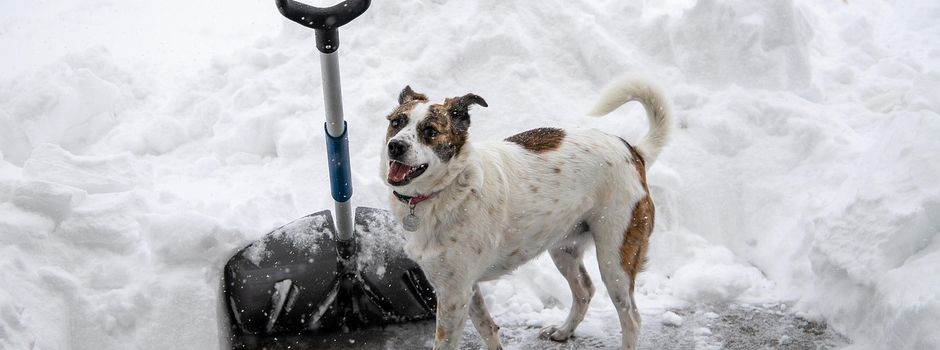Streuen und Räumen in den Wintermonaten