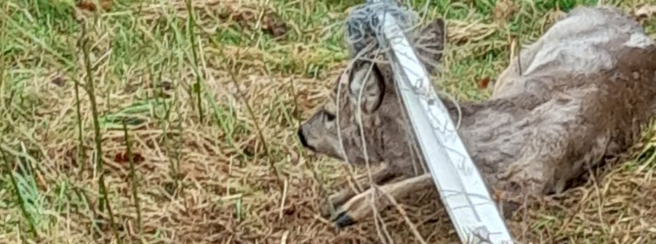 Der Jagdvorstand Weißenborn informiert
