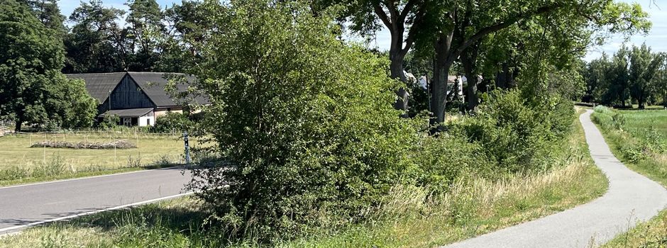 Intelligente Leuchten bringen Licht ins Dunkel