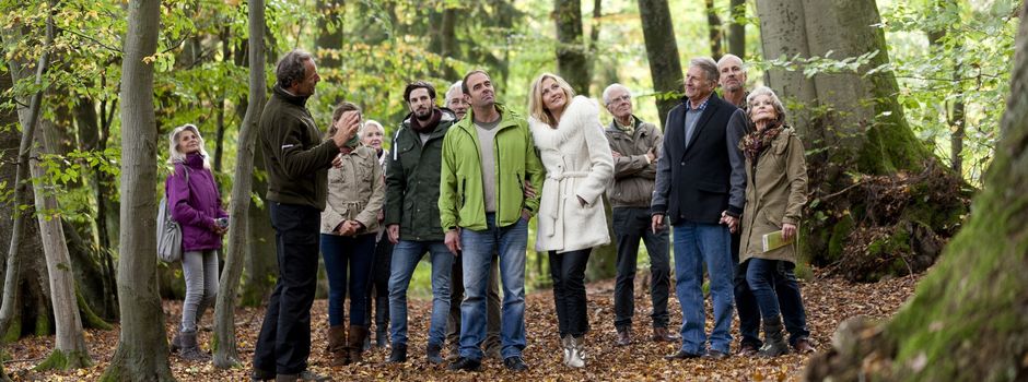 Kostenlose Waldführungen