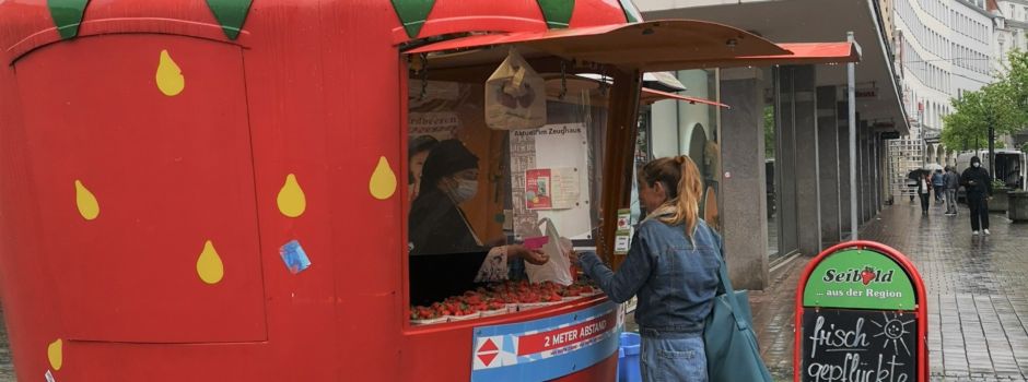 Erdbeerstände und Erdbeerfelder zum Selbstpflücken in Augsburg